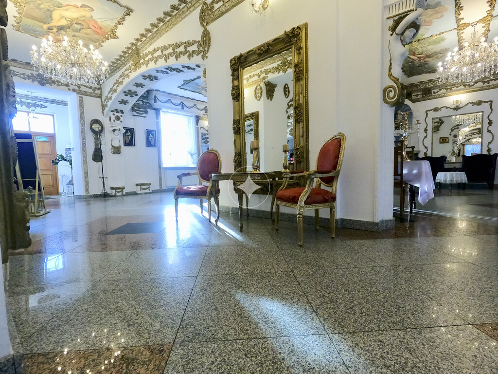 Pałac Tarnowskich — pełny opis nieruchomości zdjęcie 5