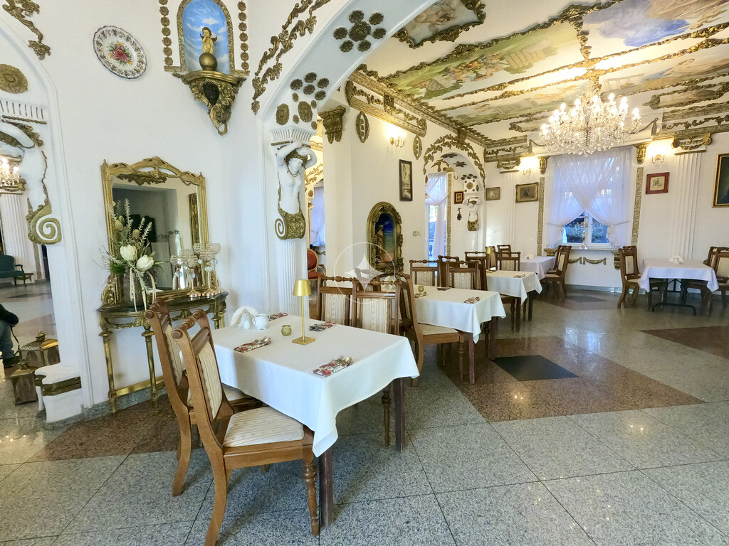 Pałac Tarnowskich — pełny opis nieruchomości zdjęcie 7