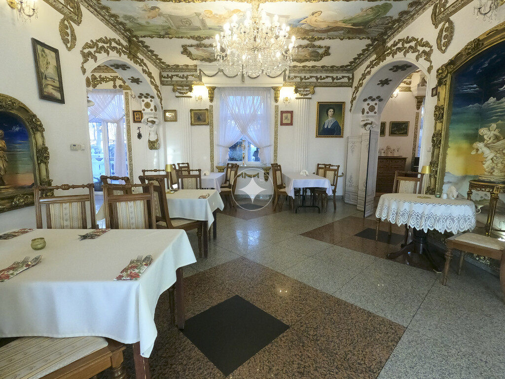 Pałac Tarnowskich — pełny opis nieruchomości zdjęcie 8