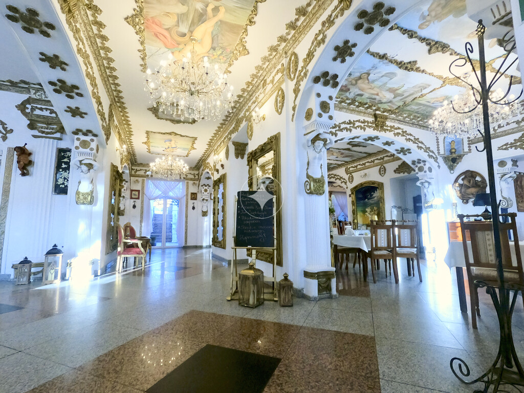 Pałac Tarnowskich — pełny opis nieruchomości zdjęcie 9