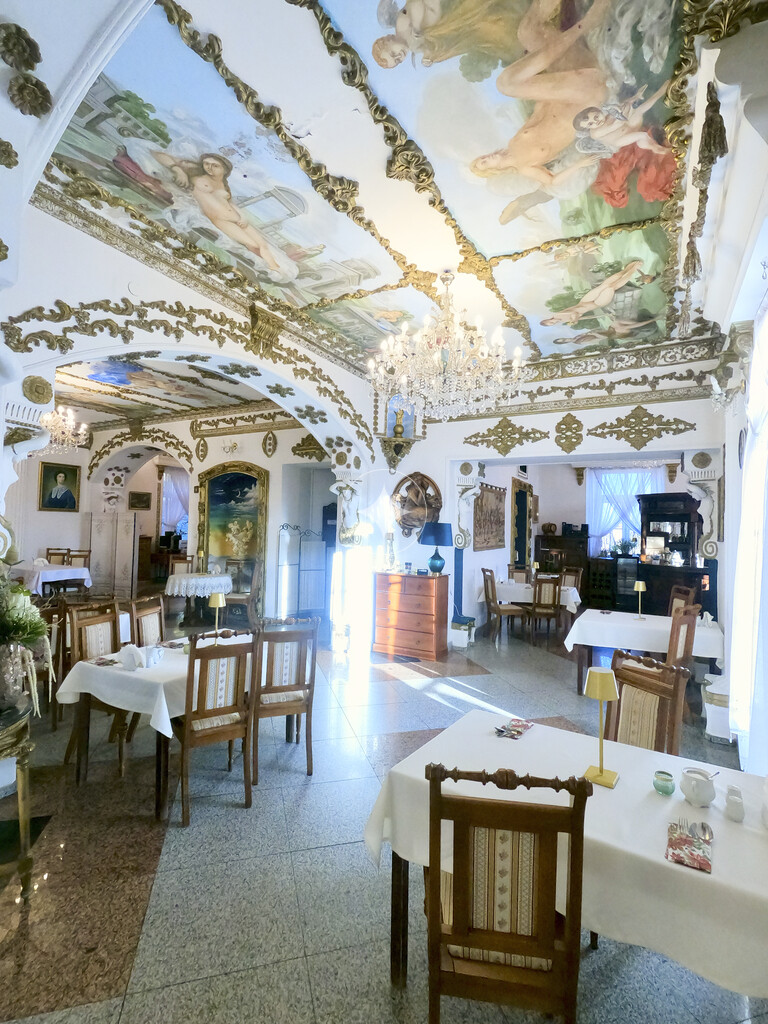 Pałac Tarnowskich — pełny opis nieruchomości zdjęcie 10