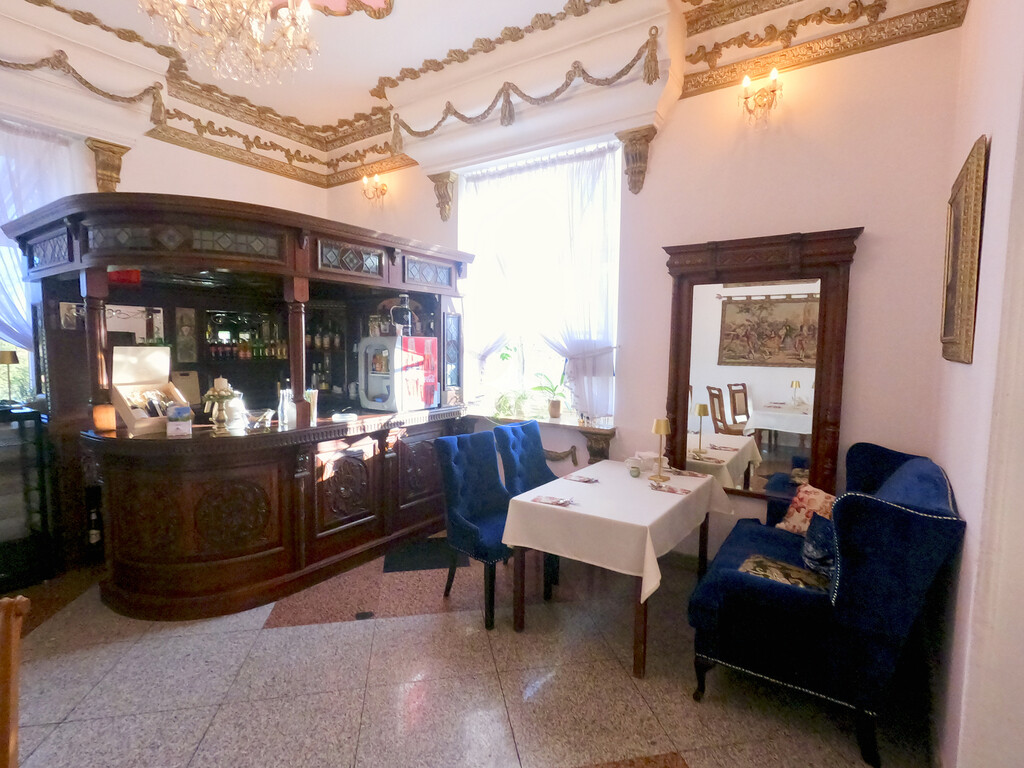 Pałac Tarnowskich — pełny opis nieruchomości zdjęcie 11