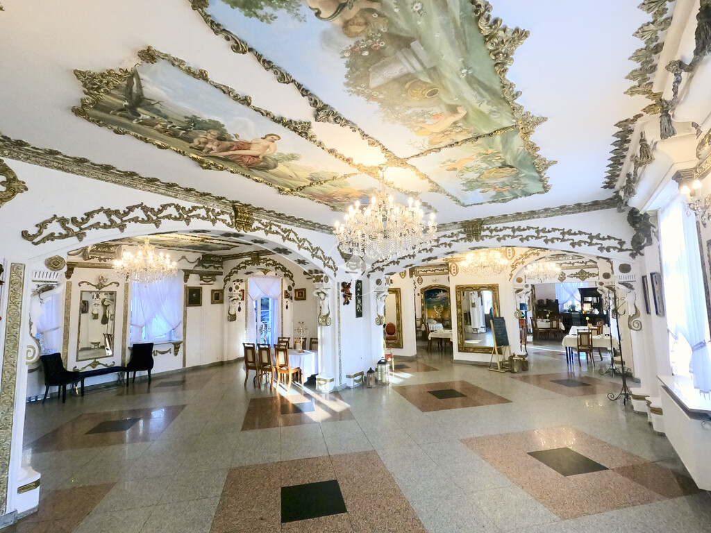 Pałac Tarnowskich — pełny opis nieruchomości zdjęcie 12