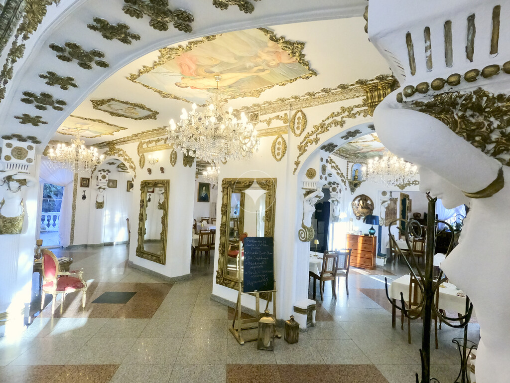 Pałac Tarnowskich — pełny opis nieruchomości zdjęcie 13