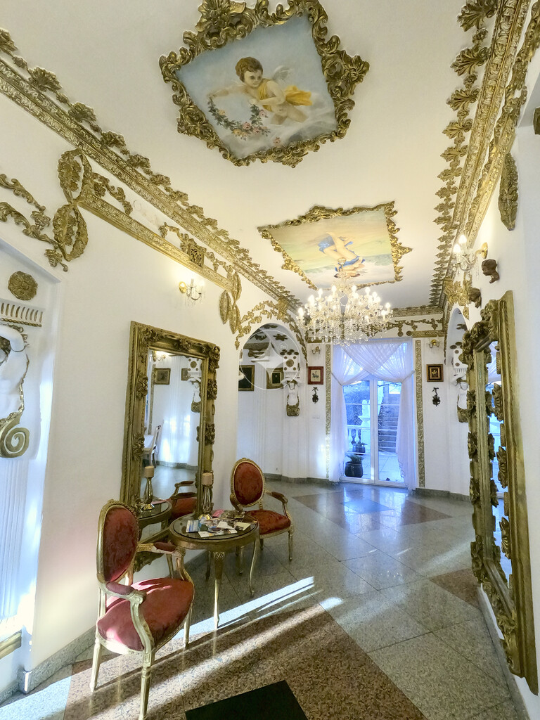 Pałac Tarnowskich — pełny opis nieruchomości zdjęcie 14