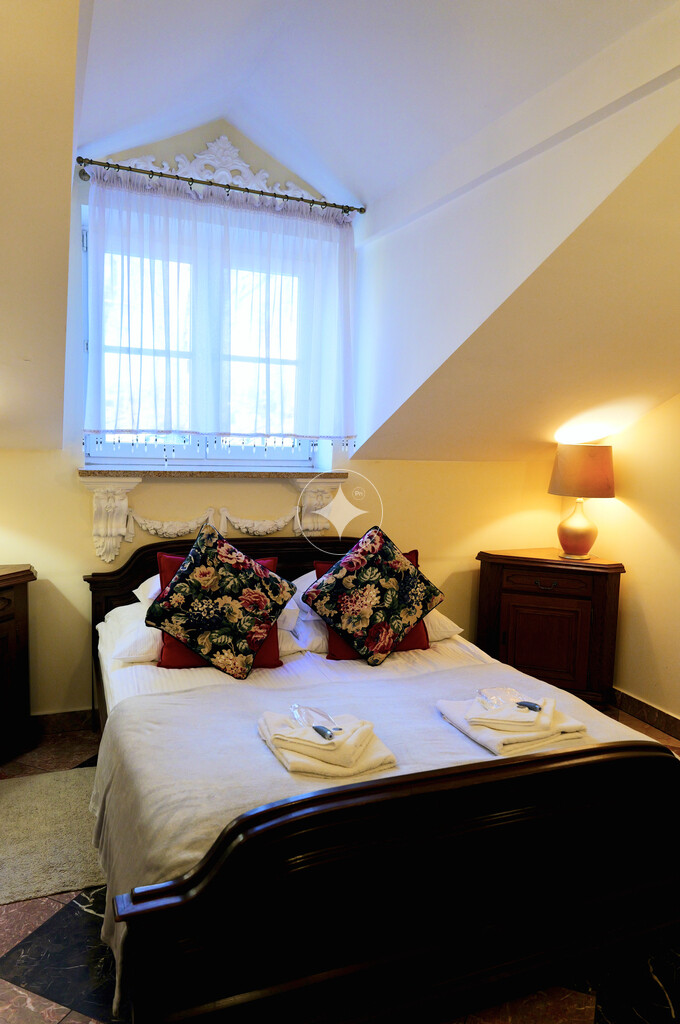 Pałac Tarnowskich — pełny opis nieruchomości zdjęcie 19